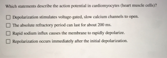 Which statements describe the action potential in cardiomyocytes (heart muscle cells)? Depolarization stimulates voltage-gate