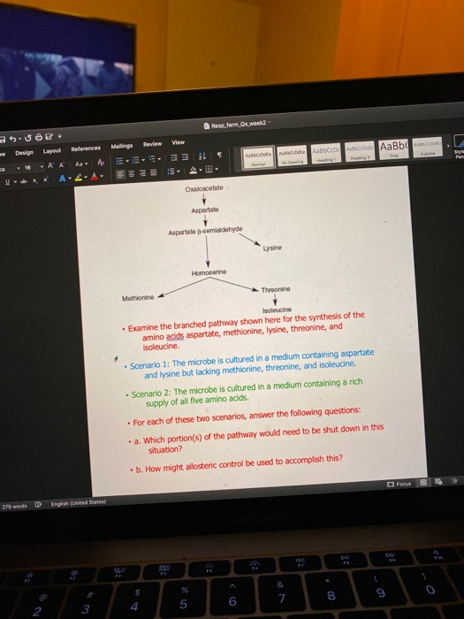 Reseforms week2 SUB Design Layout References A A A A Mailings Review View 41 5 ABCD AaBb C Het Oxaloacetate Aparate Aspartate
