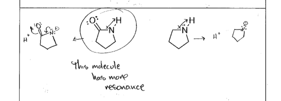 This molecule has more resonance
