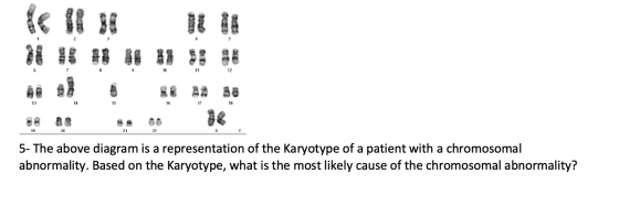 10 11 17 18 19 20 5- The above diagram is a representation of the Karyotype of a patient with a chromosomal abnormality. Base