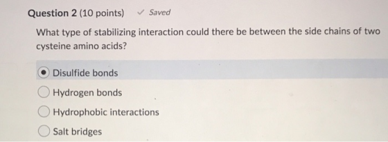 Question 2 (10 points) Saved What type of stabilizing interaction could there be between the side chains of two cysteine amin