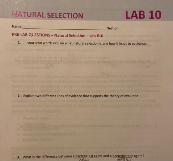 NATURAL SELECTION LAB 10 Name: Section: PRE-LAB QUESTIONS - Natural Selection - Lab #10 1. In your own words explain what nat