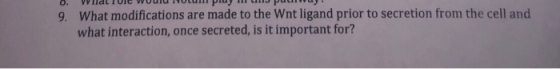 U. VALIUIL WUulu Puy 1 CJ Pul 9. What modifications are made to the Wnt ligand prior to secretion from the cell and what inte
