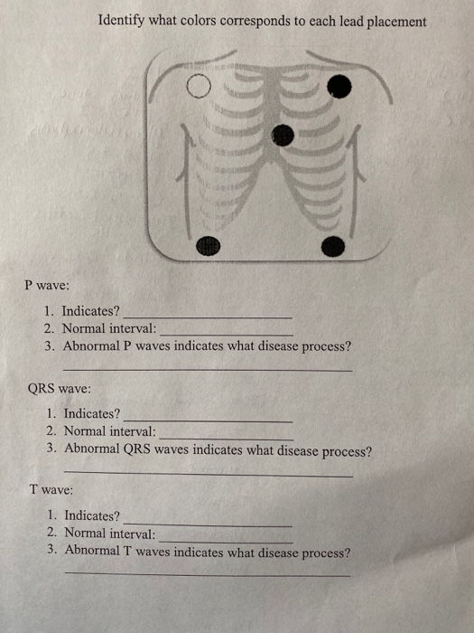 Identify what colors corresponds to each lead placement P wave: 1. Indicates? 2. Normal interval: 3. Abnormal P waves indicat