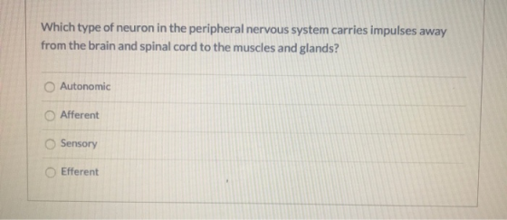 Which type of neuron in the peripheral nervous system carries impulses away from the brain and spinal cord to the muscles and