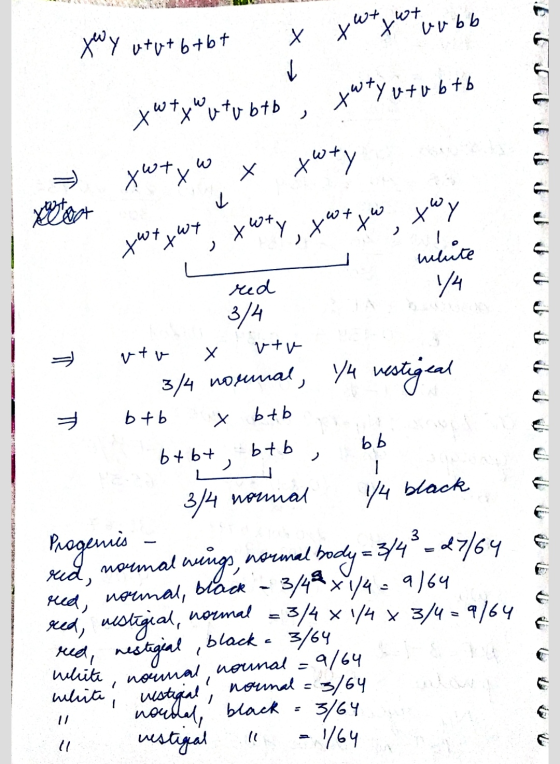 wt wt twx th vubb V х®*x* twty v tu btb xwty, xwtyw, xwy twy twy le N white, nounal nounal = twy utu + 6 tbt 7x Watu 676 Х wh