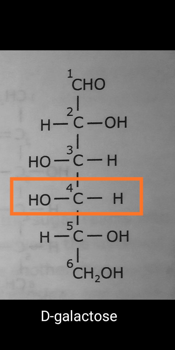 СНО H-C-OH 3 Но -с—н но-с— н 5! Н-с-ОН 6. CH,OH D-galactose