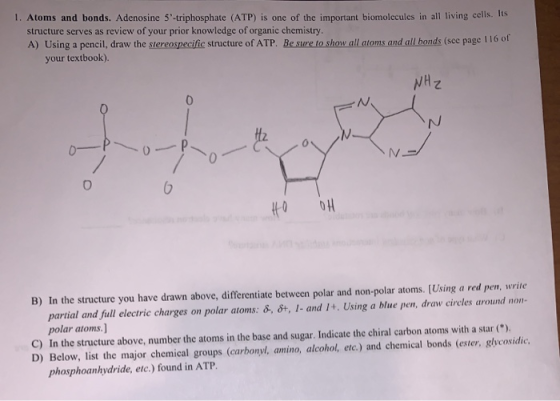 1. Atoms and bonds. Adenosine 5-triphosphate (ATP) is one of the important biomolecules in all living cells. structure serves