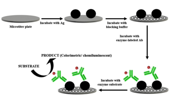 Incubate with Ag Microtiter plate Incubate with blocking buffer Incubate with enzyme-labeled Ab PRODUCT (Colorimetric/ chemil
