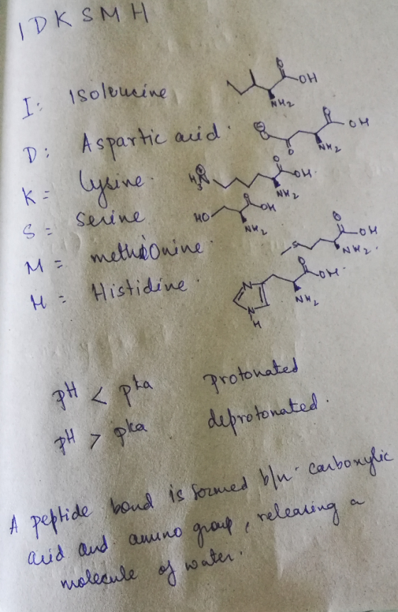 LIDK SMH OH I isoleucine Aspartic arid: o k= lysine w T serine HO- s OM M = H = methonine. Histidine. pH <pta pH y pla proton