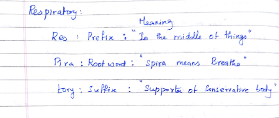 Res pirahoy Haarin inぞ Arai Rosot sond Spira means Breaa
