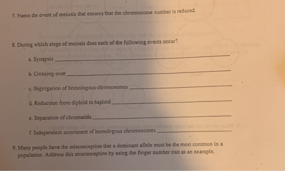 7. Name the event of meiosis that ensures that the chromosome number is reduced. 8. During which stage of meiosis does each o