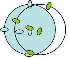 uploaded image