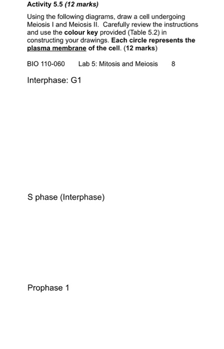 Activity 5.5 (12 marks) Using the following diagrams, draw a cell undergoing Meiosis I and Meiosis II. Carefully review the i