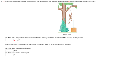 A 10 kg monkey climbs up a massless rope that runs over a frictionless tree limb and back down to a 23 kg package on the grou