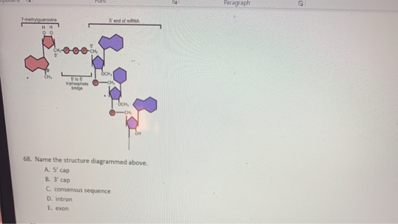 poco Paragraph 7-methyl guanosine Send of mRNA --0 Stos iphosphate bridge e 68. Name the structure diagrammed above. A. S ca