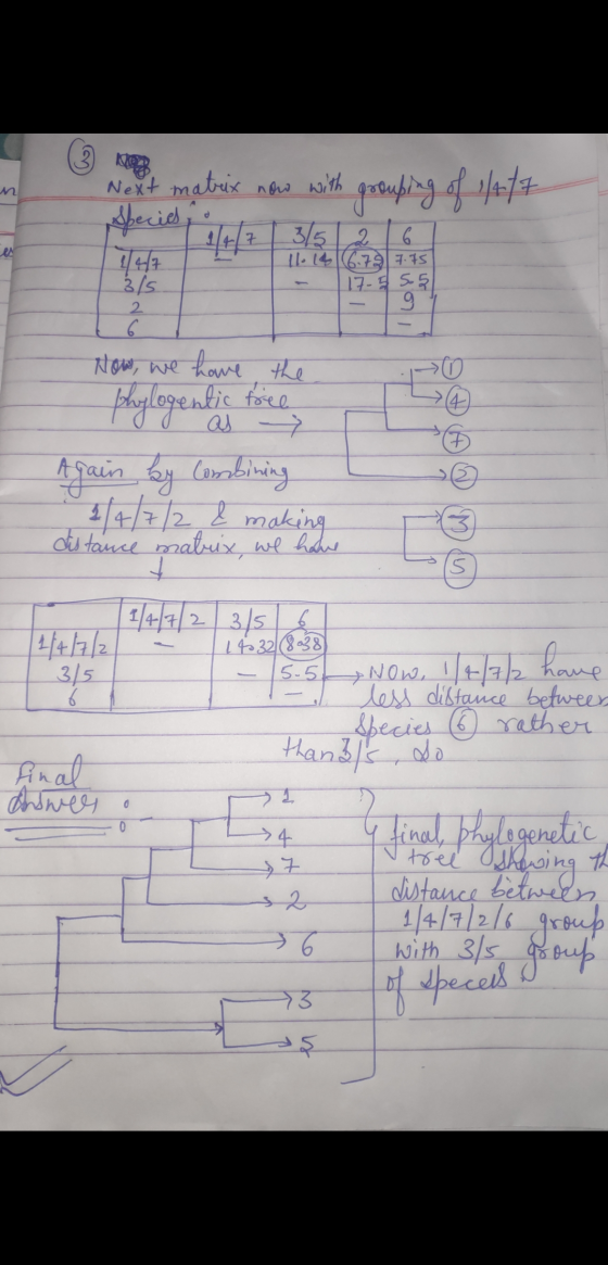 3 n Next matrix now with grouping of /r/z Species es 7 6. 11-146.797.75 3/5 17-555 2 g 6. Now, we have the phylogentic tore (