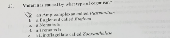 23. Malaria is caused by what type of organism? d an Ampicomplexan called Plasmodium b. a Euglenoid called Euglena c. a Nemat