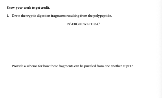 Show your work to get credit. 1. Draw the tryptic digestion fragments resulting from the polypeptide. N-ERGDEWKTHR-C Provide