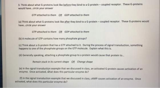 3. Think about what G-proteins look like before they bind to a G-protein-coupled receptor. These G-proteins would have...circ