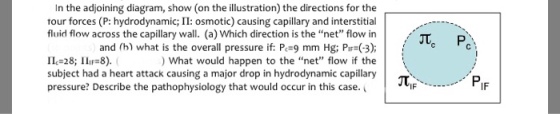 In the adjoining diagram, show (on the illustration) the directions for the tour forces (P: hydrodynamic;I: osmotic) causing capillary and interstitial fluid flow across the capillary wall. (a) Which direction is the net flow in and (h) what is the overall pressure if: P 9 mm Hg; Pi (3);cc I 28; I 8). subject had a heart attack causing a major drop in hydrodynamic capillary pressure? Describe the pathophysiology that would occur in this case. ( What would happen to the net flow if the IF IF