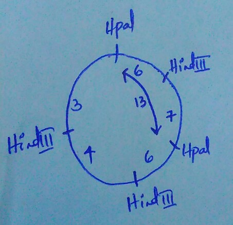 6 구 Hit皿