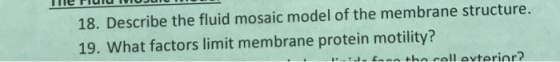 18. Describe the fluid mosaic model of the membrane structure. 19. What factors limit membrane protein motility?