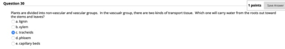 Save Answer Question 30 1 points Plants are divided into non-vascular and vascular groups. In the vascualr group, there are t
