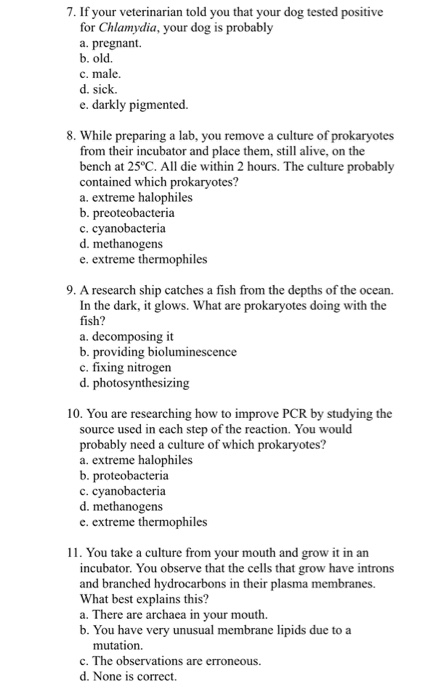7. If your veterinarian told you that your dog tested positive for Chlamydia, your dog is probably a. pregnant. b. old. c. ma