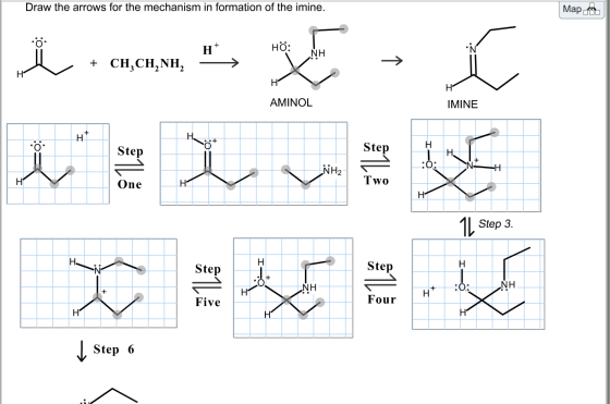 Draw the arrows for the mechanism in formation of the imine. Map H+ Hö: NH + CH,CHÁNH, H H1 HT AMINOL IMINE H H H Step i Step