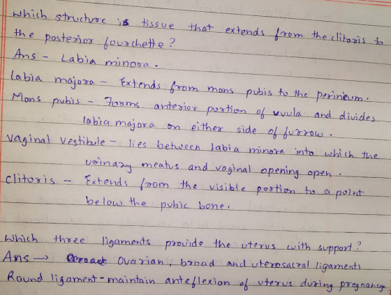 which struchooe is tissue that extends foom theclitozis to the posteior fouachette? Ans- Labia minooa. labia majora - Extends