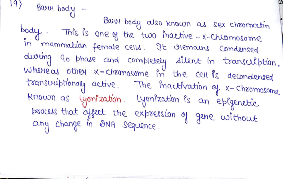 19) Bare body - Barve body cuso known as sex chromatin body. This is one of the two inactive – X-chromosome in mammalian fema