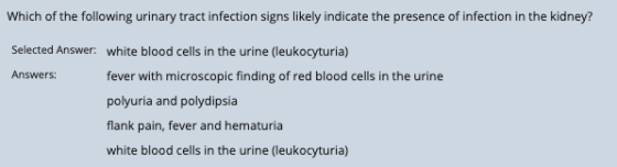 Which of the following urinary tract infection signs likely indicate the presence of infection in the kidney? Selected Answer