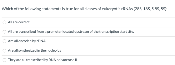 Which of the following statements is true for all classes of eukaryotic rRNAs (285, 186, 5.85, 5S): All are correct. All are