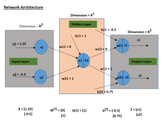 Network Architecture Dimension = R2 Dimension = R2 Hidden Layer b21 = -0.5 Dimension = R b11 = 1 z1 x1 = 1.25 x1 w11 = 0 a21