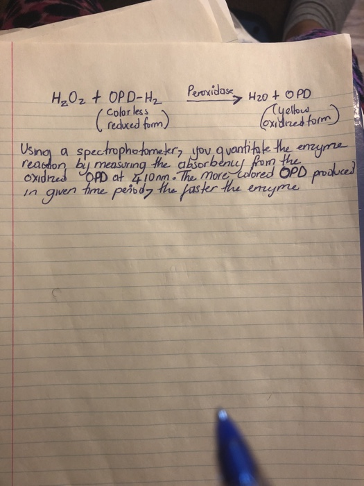 (oxidized form H₂O₂ + OPD-H₂ Peroxidase 420+ OPD colorless Cyellow ( reduced form) Using a spectrophotometer, you quantitate
