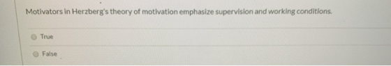 Motivators in Herzbergs theory of motivation emphasize supervision and working conditions O True O False