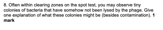 8. Often within clearing zones on the spot test, you may observe tiny colonies of bacteria that have somehow not been lysed b