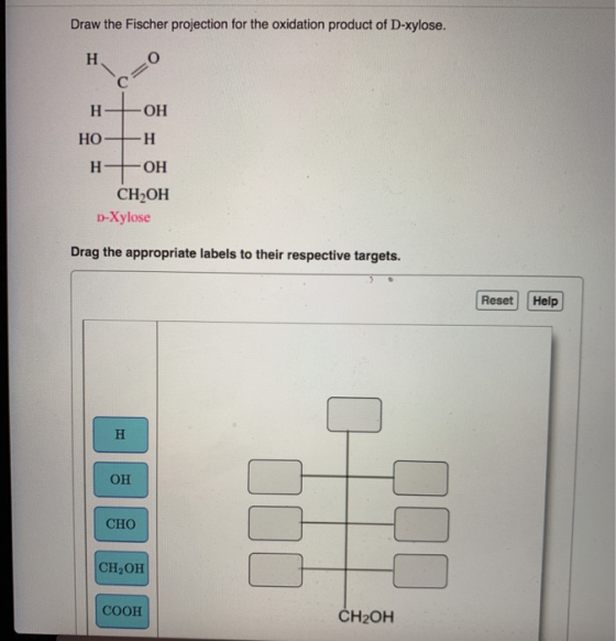 Draw the Fischer projection for the oxidation product of D-xylose. но н -ОН НО -н НЕОН CH OH D-Xylose Drag the appropriate la