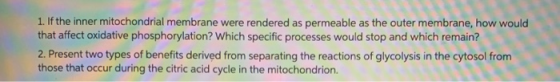 1. If the inner mitochondrial membrane were rendered as permeable as the outer membrane, how would that affect oxidative phos