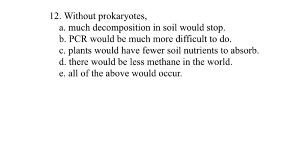 12. Without prokaryotes, a. much decomposition in soil would stop. b. PCR would be much more difficult to do. c. plants would