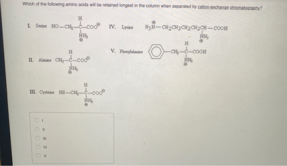 Which of the following amino acids will be retained longest in the column when separated by cation-exchange chromatography? H
