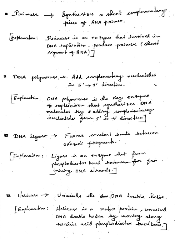 - Pre mase Syn the sizes a short complementary piece of RNA primer. that inrolved in [Explanation: Primase is an uzynne DNA r