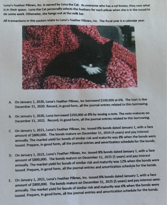 Lunas Feather Pillows, Inc. is owned by Luna the Cat. As everyone who has a cat knows, they own what is in their space. Luna