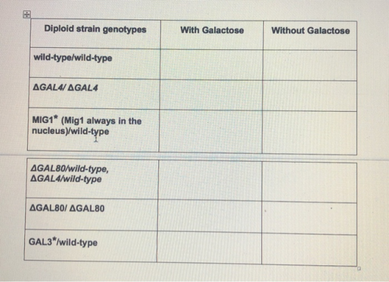 Diploid strain genotypes With Galactose Without Galactose wild-type/wild-type AGAL4/AGAL4 MIG1* (Mig1 always in the nucleus)/