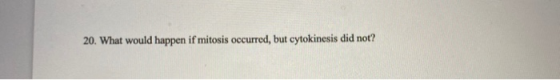 20. What would happen if mitosis occurred, but cytokinesis did not?