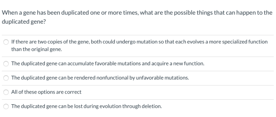 When a gene has been duplicated one or more times, what are the possible things that can happen to the duplicated gene? If th
