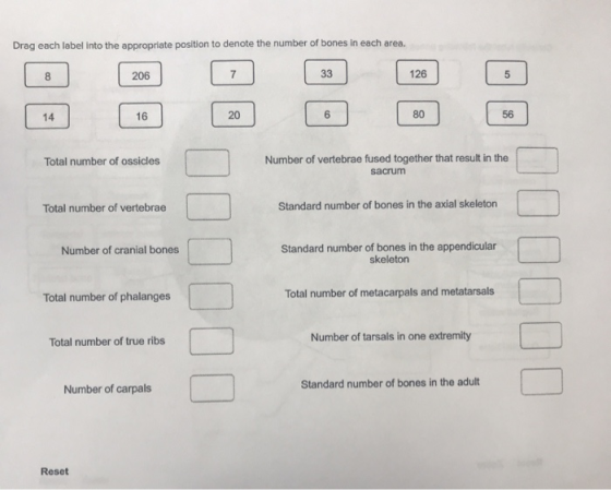 Drag each label into the appropriate position to denote the number of bones in each area. Total number of ossicles Number of