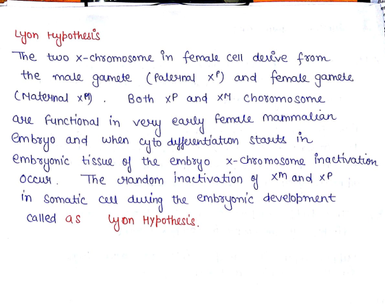 7 Lyon Hypothesis The two x-chromosome in female cell derive from the male gamete (paternal XP) and female gamete (Maternal x