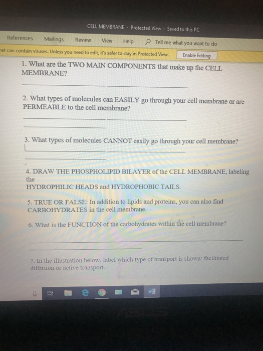 CELL MEMBRANE Protected View Saved to this PC References Mailings Review View Help Tell me what you want to do et can contain